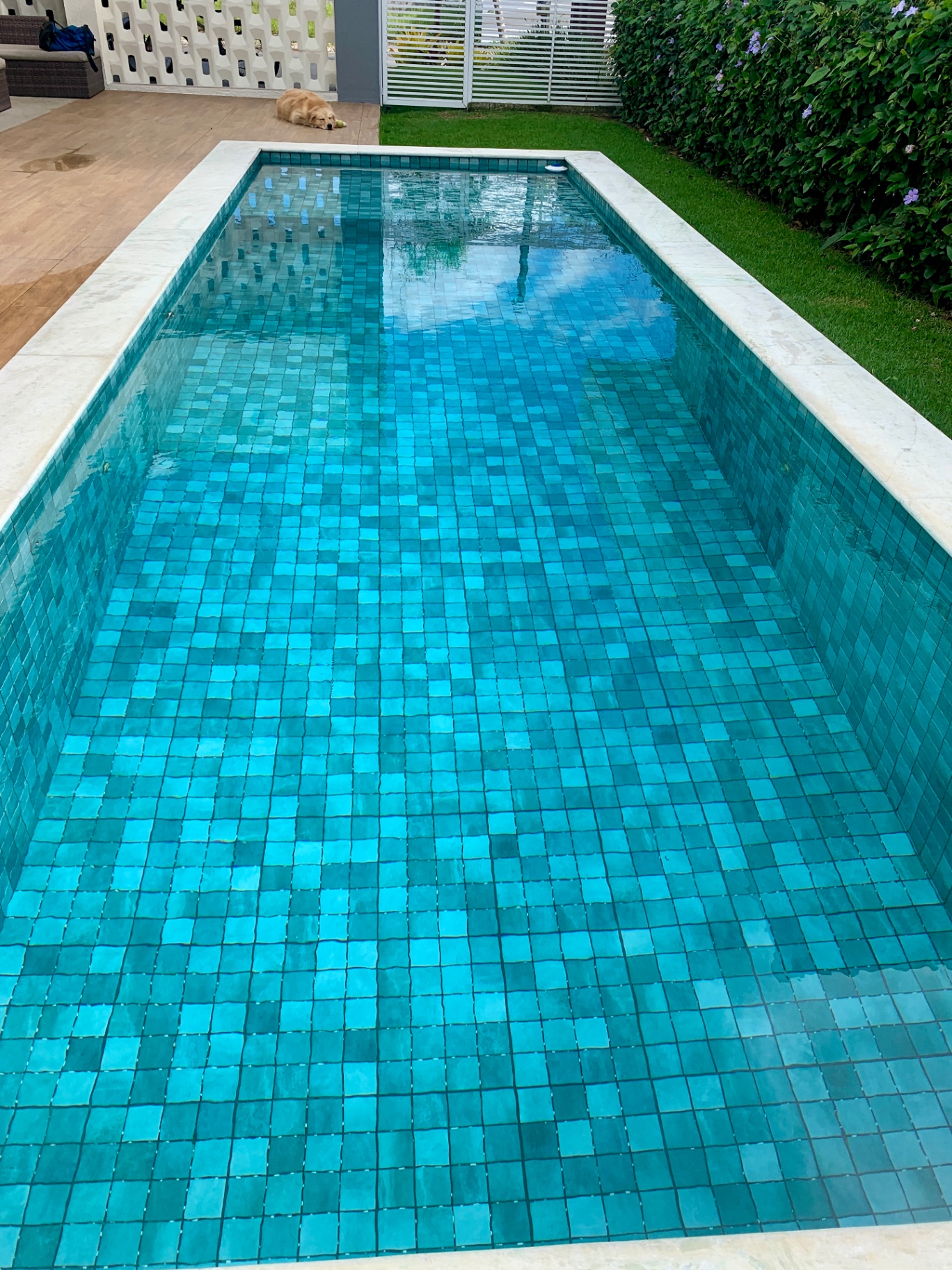 Manutenção de piscinas residenciais